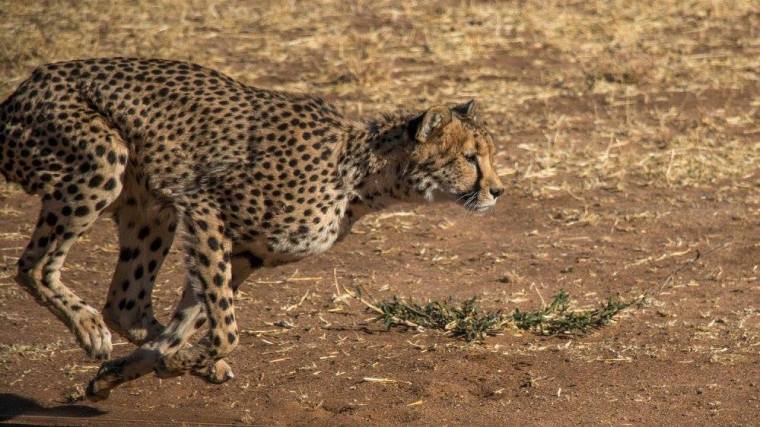 13667986_10154356847891248_3073482182726725920_o