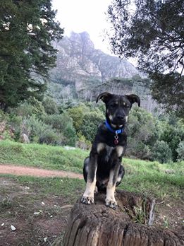 20621028_10210666192750784_462759755365411818_n