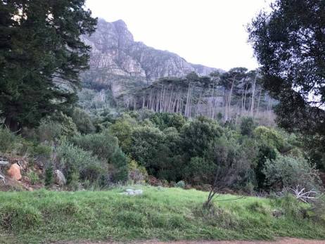 20638926_10210666192870787_4837911132409844895_n