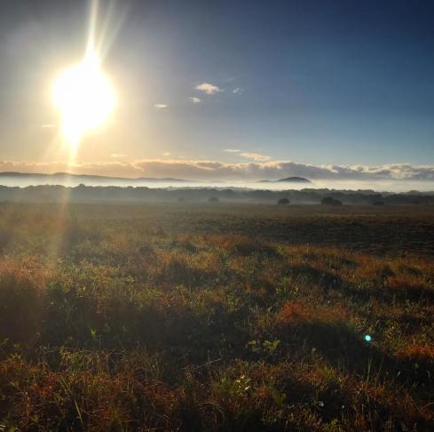 21271291_10210886197210758_3869458658152186772_n