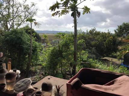 21369185_10210886179610318_6704539254347157134_n