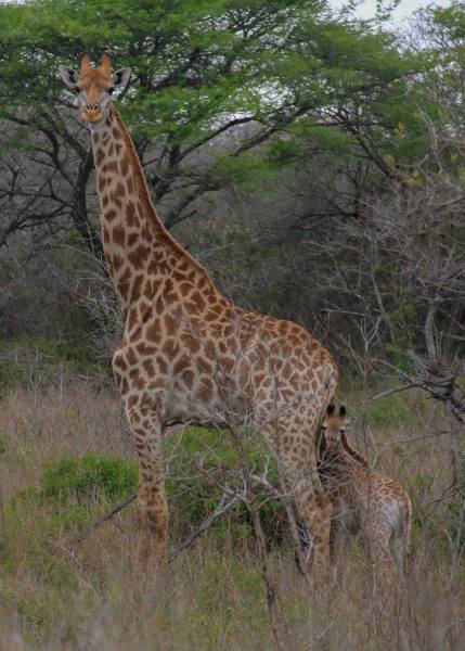 21543957_10210998774785127_2946473473508558357_o