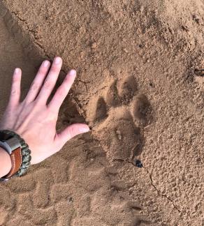 21558002_10210984524468878_223599863961502826_n