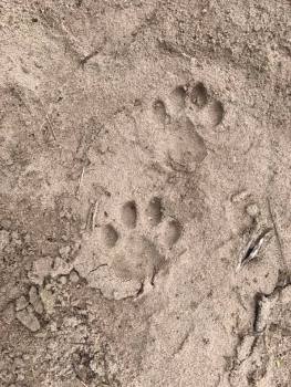 21617746_10210984522748835_2757060300608663535_n