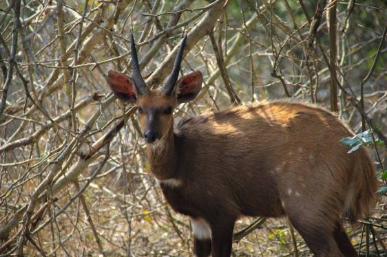 21640998_10210998775985157_6503299643672739117_o