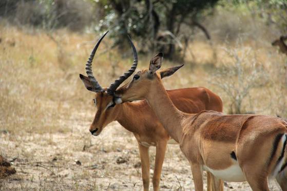 21641038_10210998776425168_1066278524343069484_o