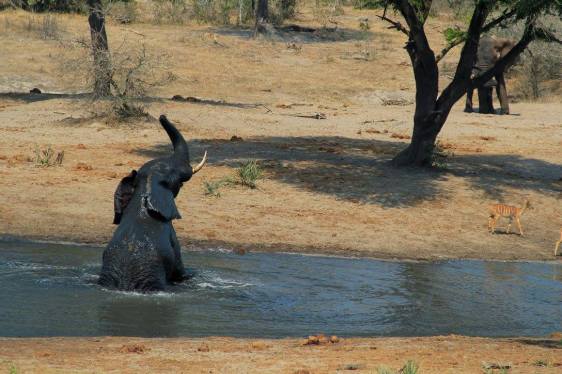 21686841_10210998775825153_2704291361281704778_o