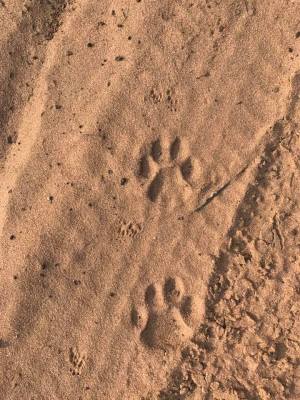 22007329_10211027501463276_3521127247264697390_n