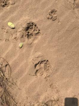 22007863_10211027498863211_9130108319992052242_n