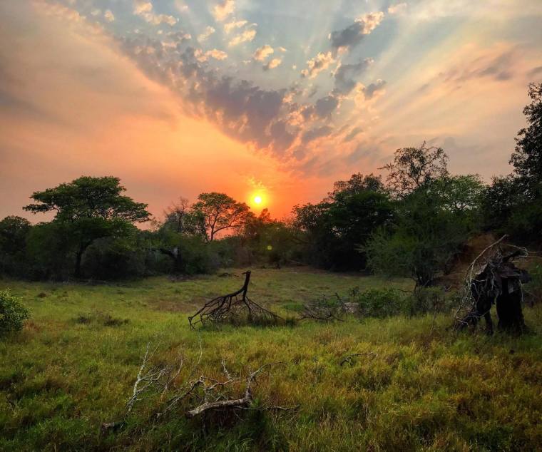 22812814_10211227352019415_709888276_o