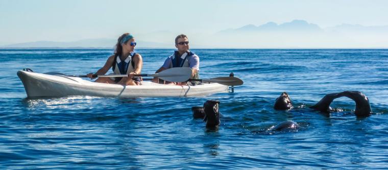 26757915_10156114475258598_6226898005012629770_o