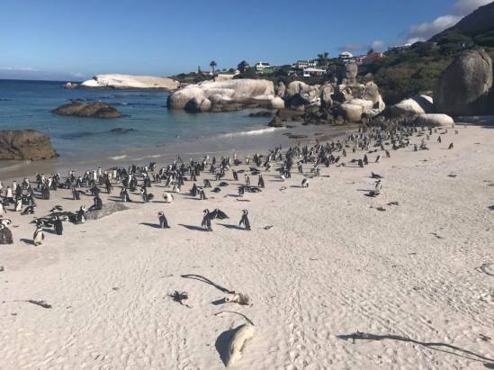 26814542_10211822425455879_962864914496758976_n