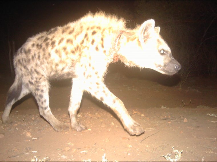 S3__Station3__Camera1__CAM41311__2017-07-13__01-01-13