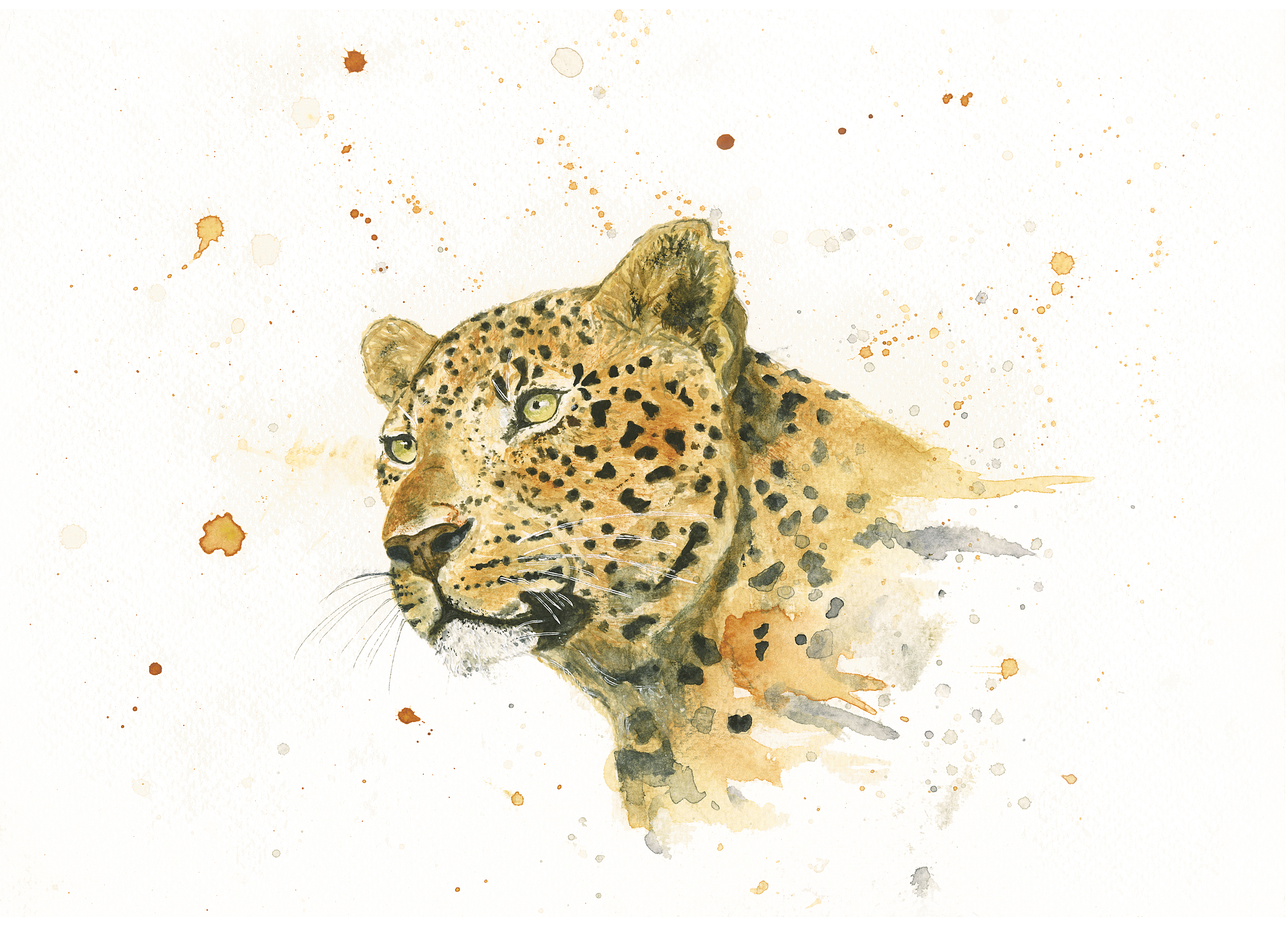 ravenscourtmale_jotaylor